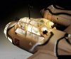 Revell 00452 Junkers Ju88 A-4 Technik 1/32